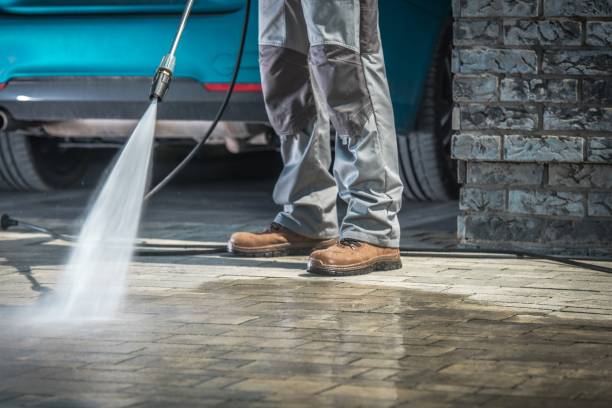 Animal Enclosure Cleaning in Oglesby, IL