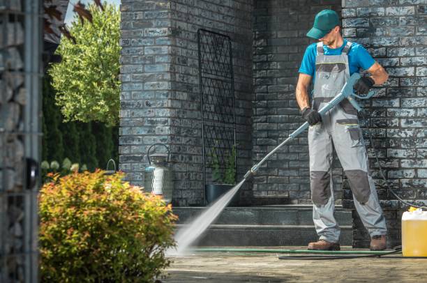 Best Solar Panel Cleaning  in Oglesby, IL