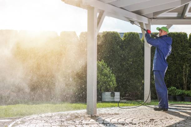 Best Driveway Pressure Washing  in Oglesby, IL