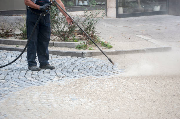 Best Winterizing Services  in Oglesby, IL