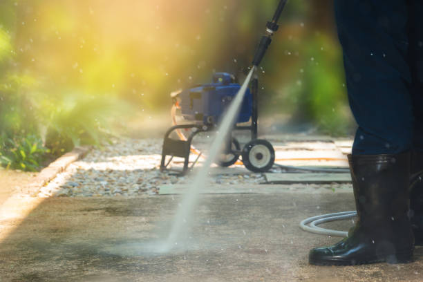 Best Roof Washing  in Oglesby, IL
